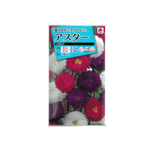 アスター 大輪混合