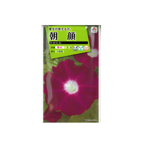 朝顔 平安の紅