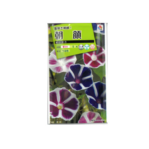 朝顔 曜白 混合