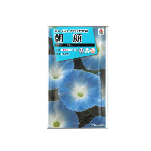 朝顔 ヘブンリーブルー