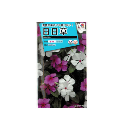 日日草 高性混合