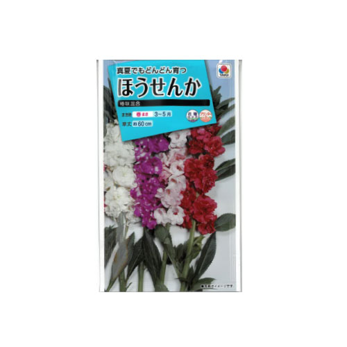 ほうせんか 椿咲混合