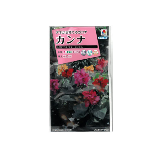 カンナ トロピカルサマーミックス