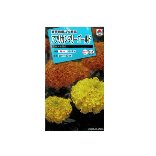 アフリカンマリーゴールド 高性大輪混合