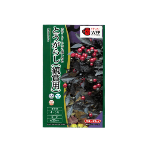 観賞用とうがらし オニキスレッド