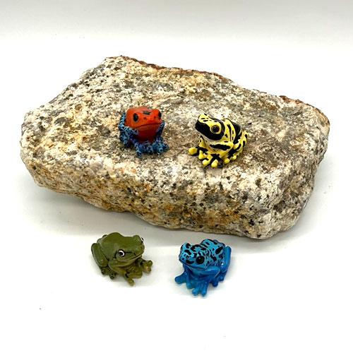 レプタイルズ マグ カエル