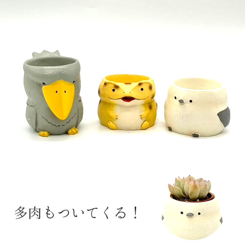 リトルレジンポット 珍獣+多肉セット