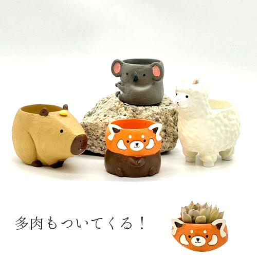 リトルレジンポット 動物園の人気者+多肉セット