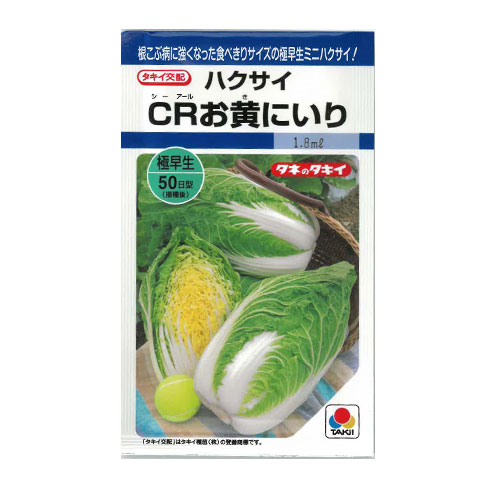 タキイ種苗 CRお黄にいり ハクサイ