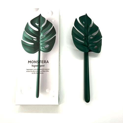 【送料無料】モンステラスクイジー
