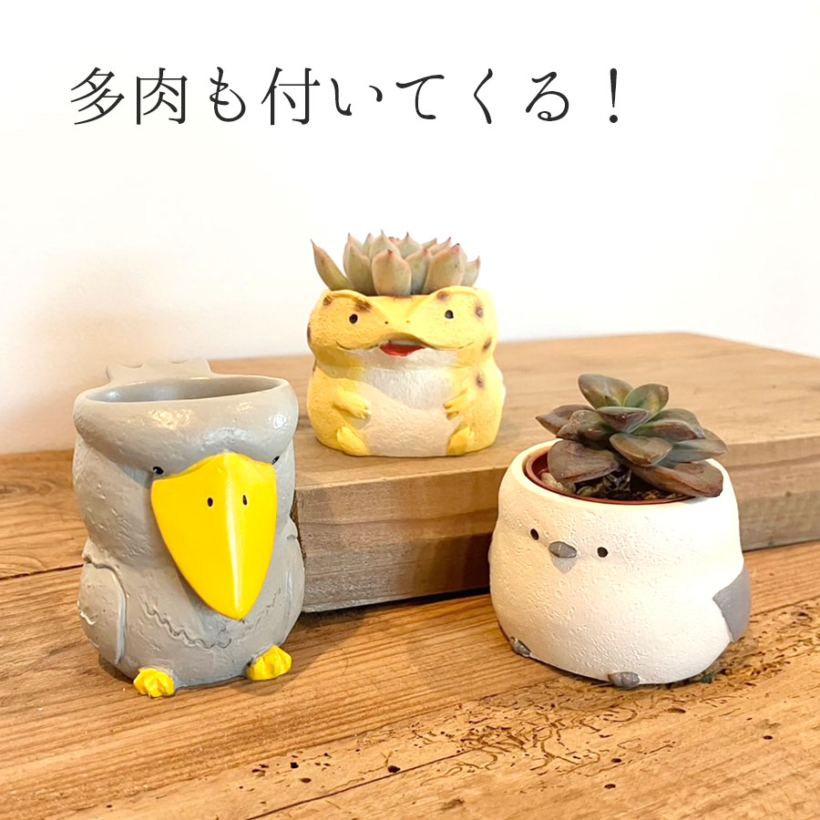 【送料無料】リトルレジンポット 珍獣+多肉セット