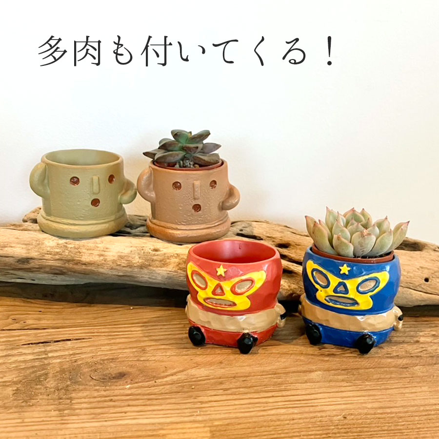 【送料無料】リトルレジンポット レスラー&はにわ+多肉セット