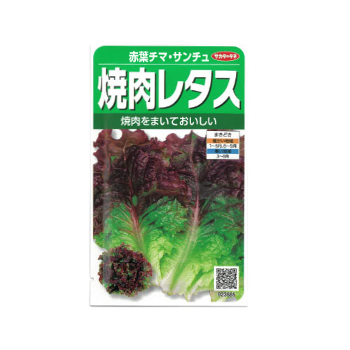 サカタのタネ 焼肉レタス サンチュ