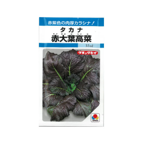 タキイ種苗 赤大葉高菜
