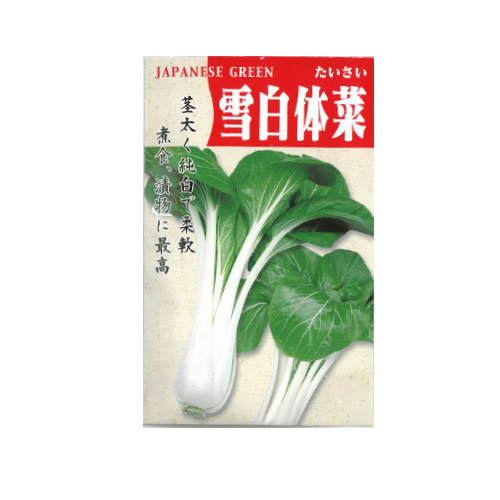 雪白体菜