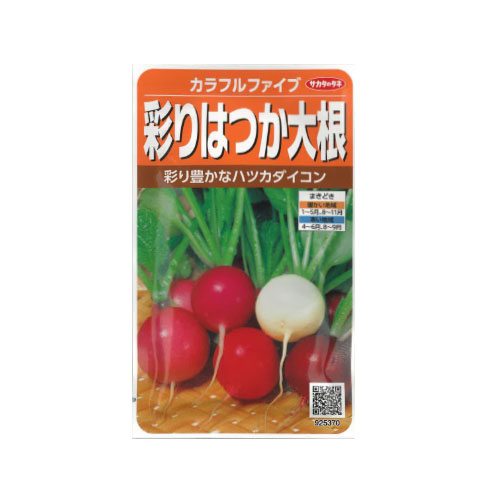 サカタのタネ 彩りはつか大根
