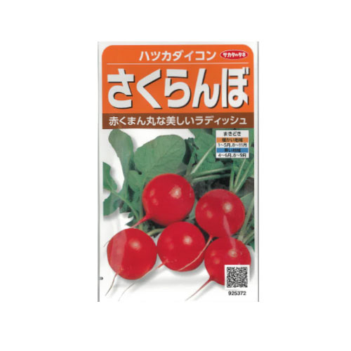 サカタのタネ さくらんぼ ハツカダイコン
