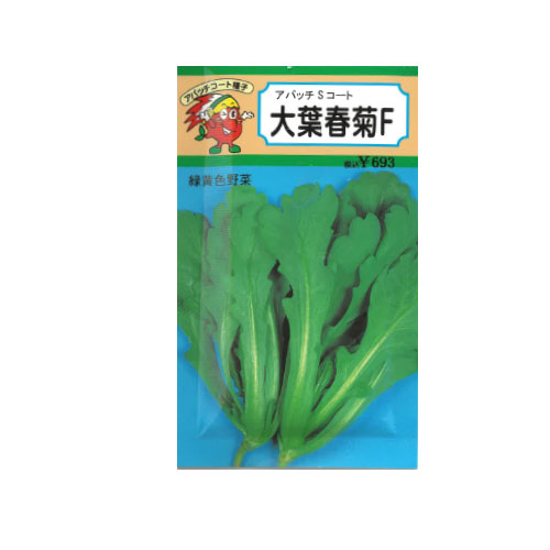 大葉春菊F