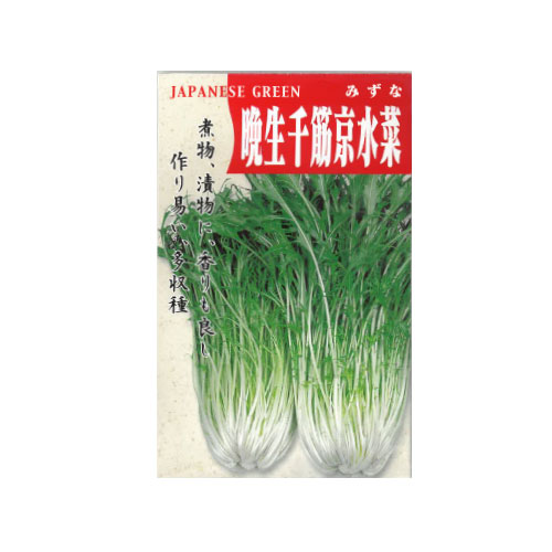 晩生千筋京水菜