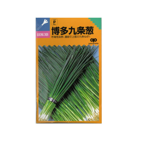 博多九条葱