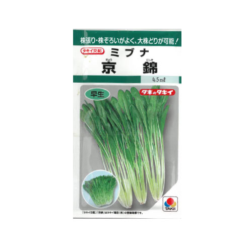 タキイ種苗 京錦 ミブナ