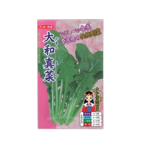 大和真菜
