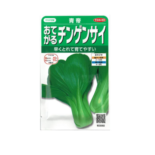 サカタのタネ 青帝 チンゲンサイ