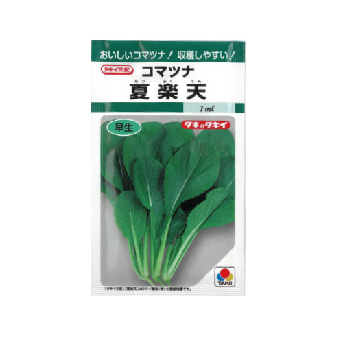 タキイ種苗 夏楽天 コマツナ