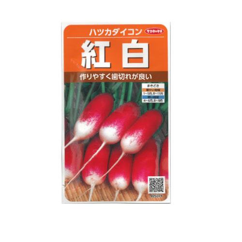 サカタのタネ 紅白 ハツカダイコン