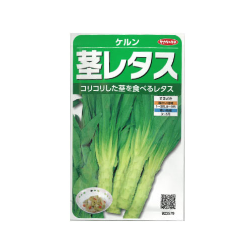 サカタのタネ ケルン 茎レタス