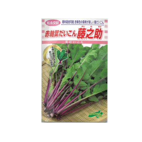 松永種苗 藤之助 葉ダイコン