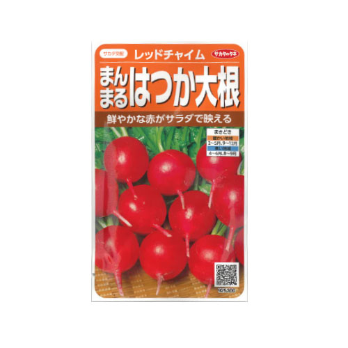 サカタのタネ レッドチャイム ハツカダイコン