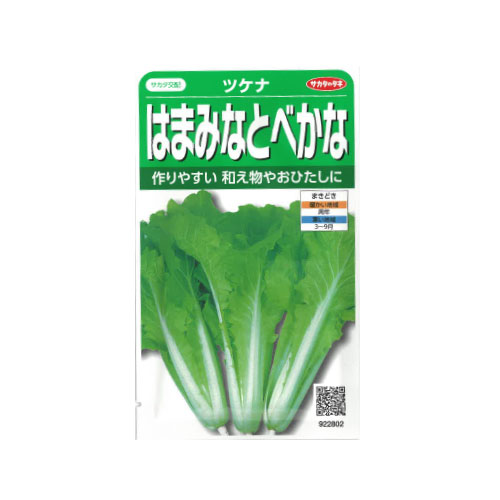 はまみなとべかな