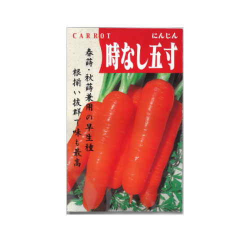 時なし五寸 ニンジン