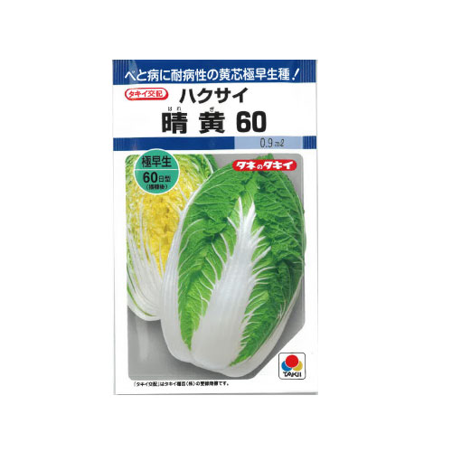 タキイ種苗 晴黄60 ハクサイ