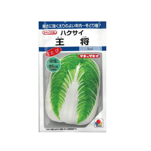 タキイ種苗 王将 ハクサイ