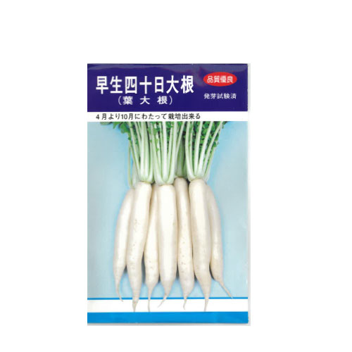 早生四十日大根 葉ダイコン