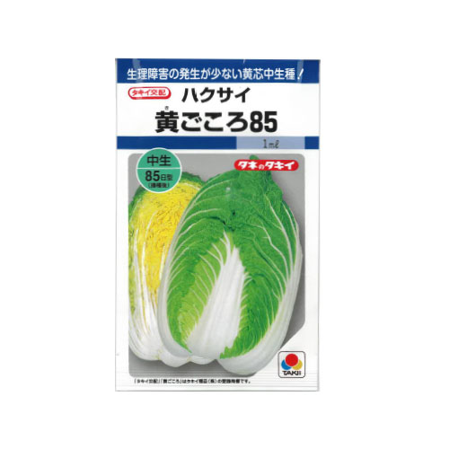 タキイ種苗 黄ごころ85 ハクサイ