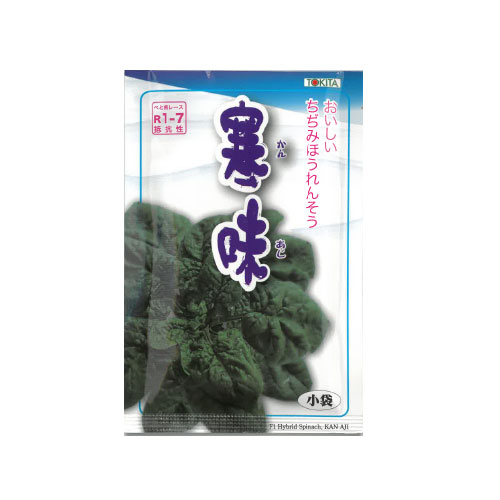 トキタ種苗 寒味 ホウレンソウ