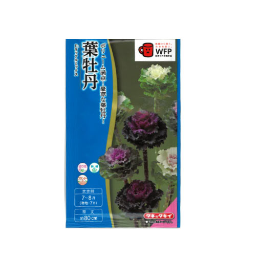 葉牡丹 ラッフルミックス