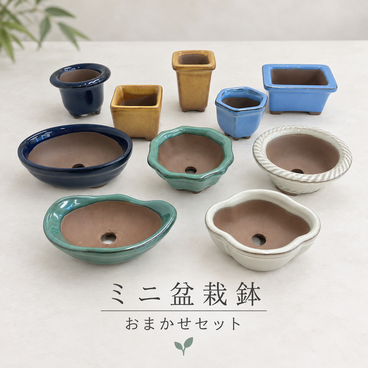 ミニ盆栽鉢 おまかせセット　 3個・4個・5個｜色・形いろいろ