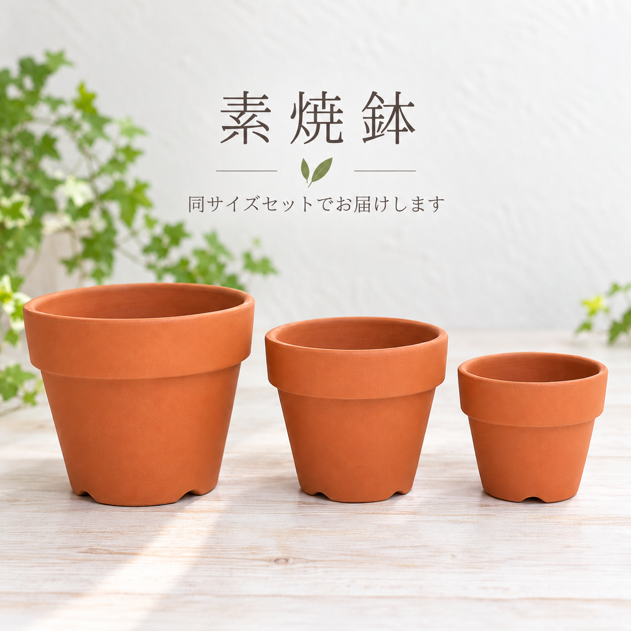 【常滑焼】朱温素焼鉢 5個・10個セット