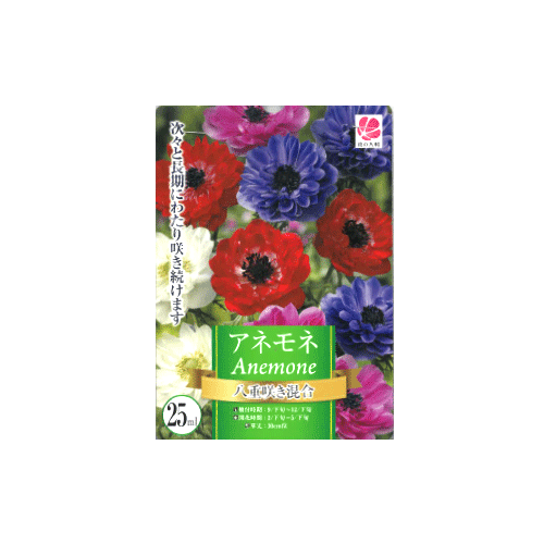 アネモネ 八重咲き混合 25ml