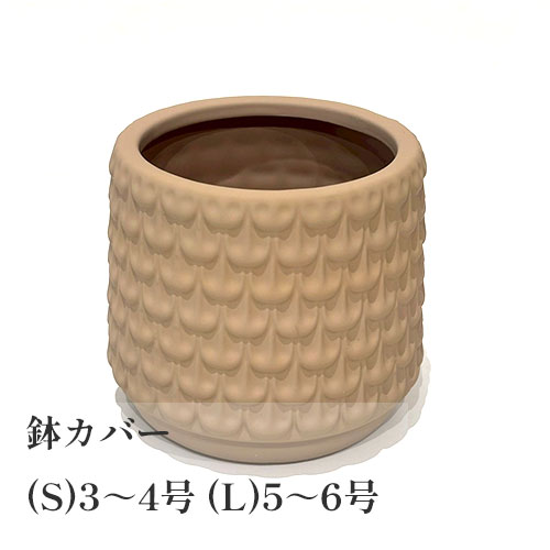 【セール 70%オフ】 アッシ