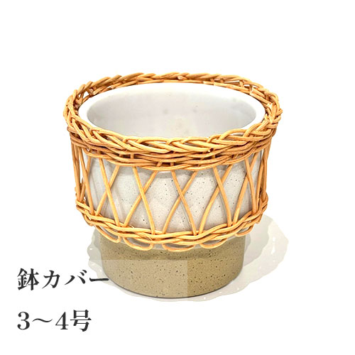 【セール 75%オフ】 イーネス