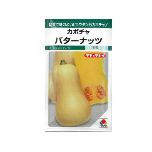 バターナッツカボチャ