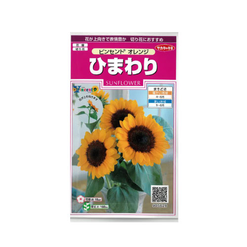 ヒマワリ ビンセントオレンジ