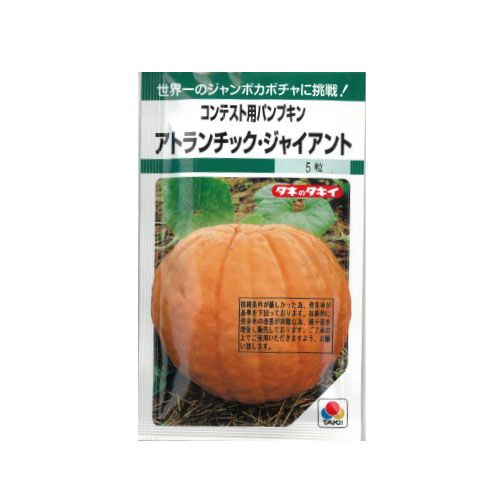 タキイ種苗 アトランチック・ジャイアント カボチャ