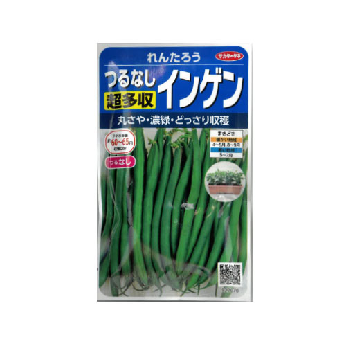 サカタのタネ れんたろうツルナシインゲン