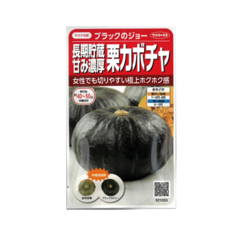 サカタのタネ ブラックのジョー カボチャ